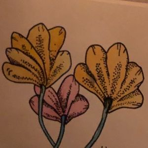 Meet your Posher, Kirsten